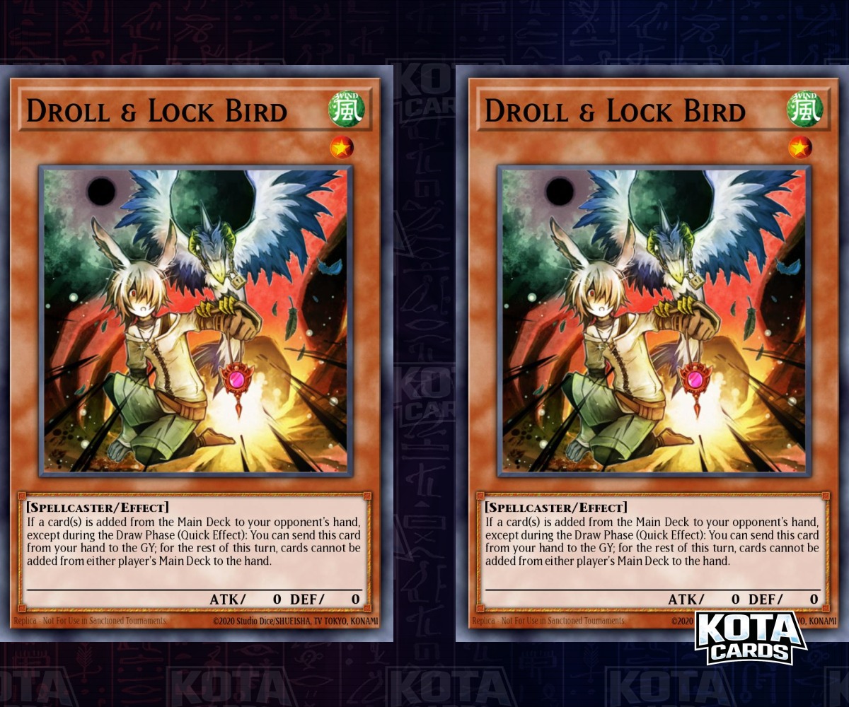 Droll & Lock Bird Ultra x2